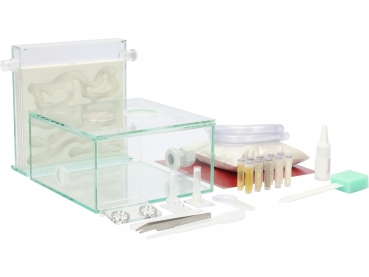 ANTCUBE Starter Set L - 20x20 - Gips